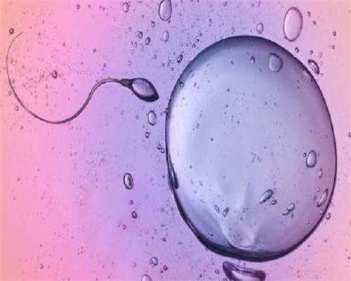 黑龙江供卵生殖医院，黑龙江没有正规的供卵机构