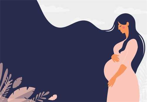 怀孕饮食秘籍与禁忌全攻略：封面插画图解指南，确保宝宝健康，助你顺利备孕
