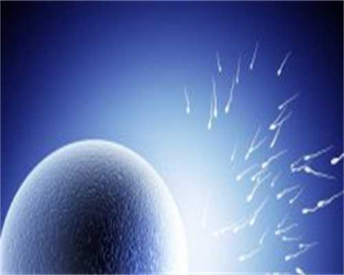 澳门做三代供卵试管成功率，供卵的成功率有多大